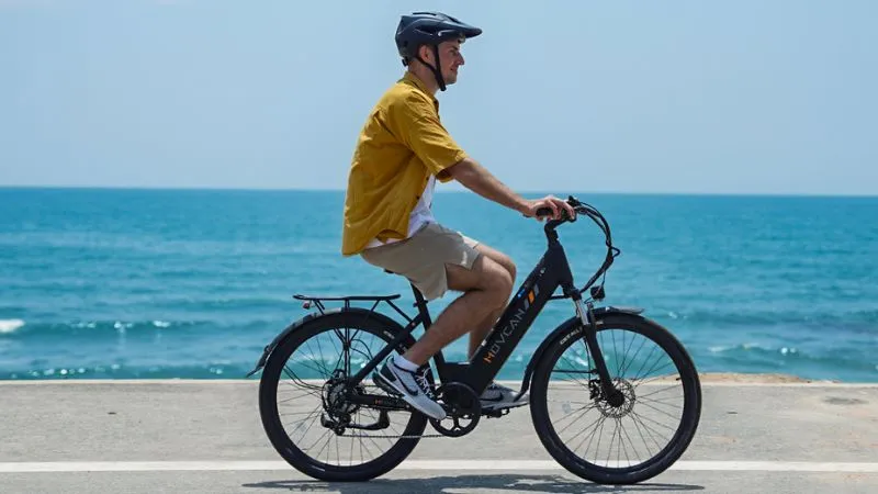 Bicicleta elétrica Confort 800W 48V 15Ah