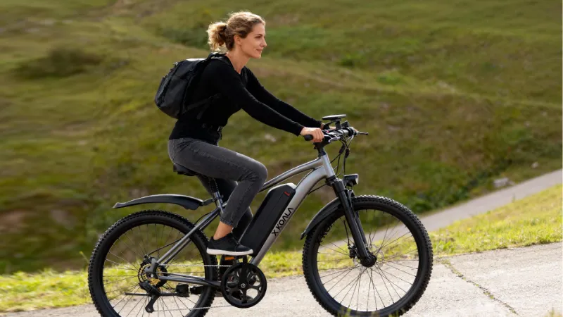 limite de peso bicicleta elétrica